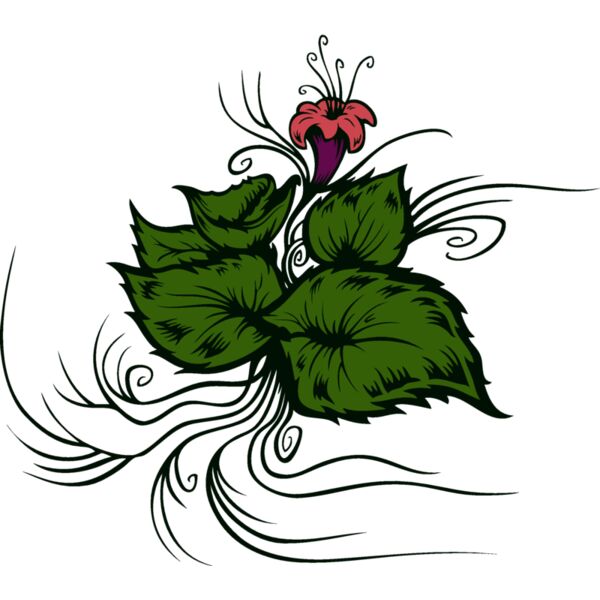 flower and leaves Thumbnail