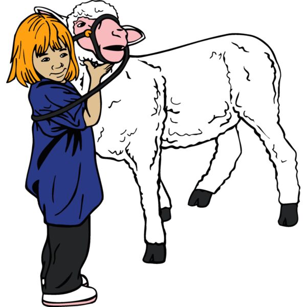 kidandsheep1 Thumbnail