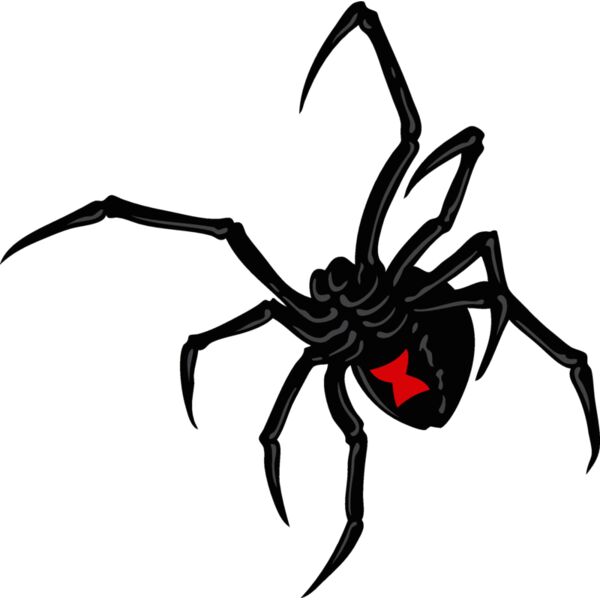 esspider002clr Thumbnail