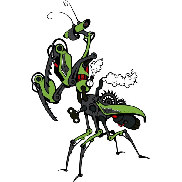 prayingmantis01 Thumbnail