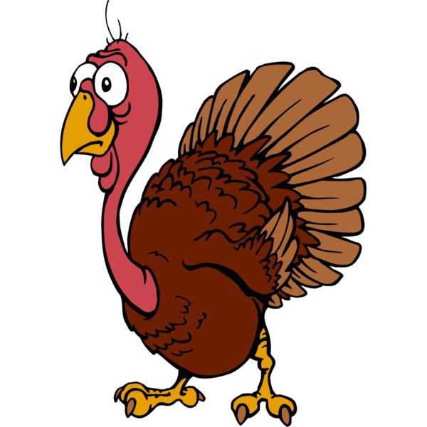 turkey2 Thumbnail