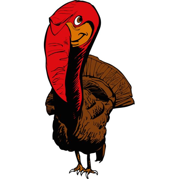 turkey7 Thumbnail
