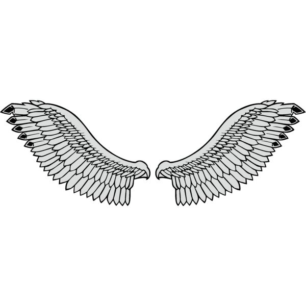 wings3 Thumbnail