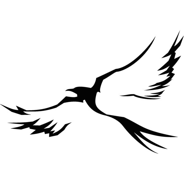 birdtribal Thumbnail