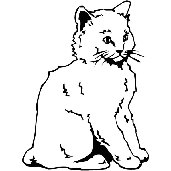 kitten Thumbnail
