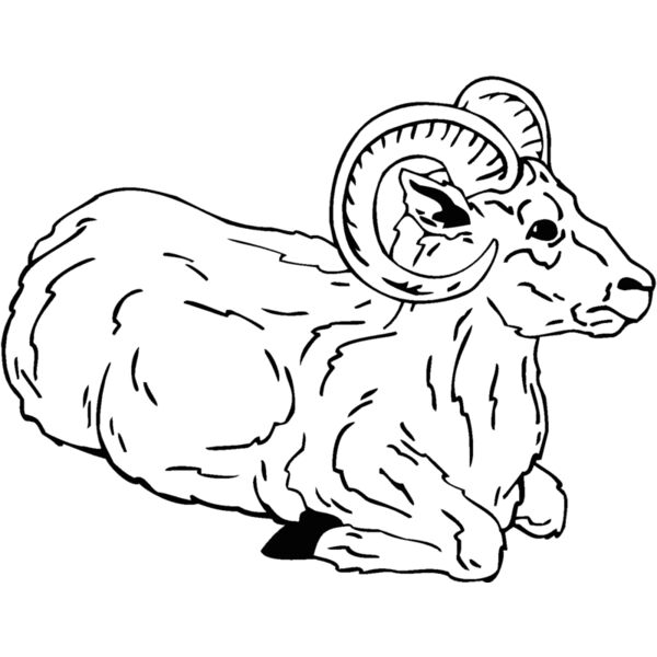 ram2 Thumbnail