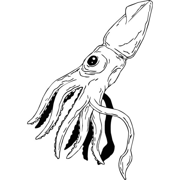 squid Thumbnail