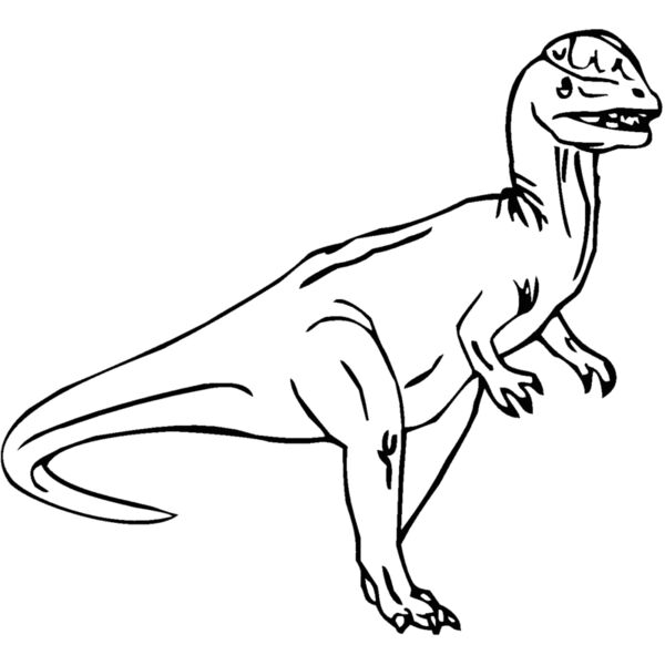 dilopho2 Thumbnail