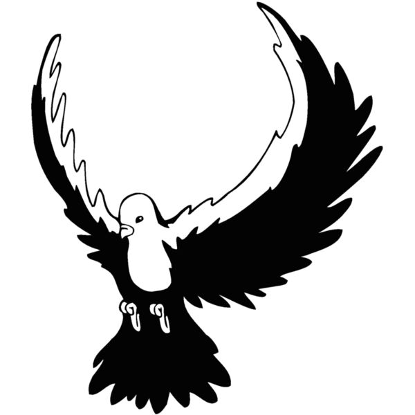 dove Thumbnail