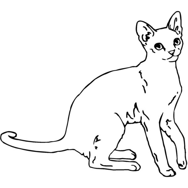 singapu2 Thumbnail