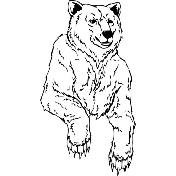 bear Thumbnail