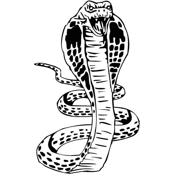 snake4 Thumbnail