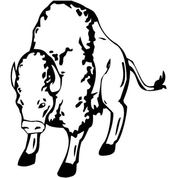 buffalo5 Thumbnail