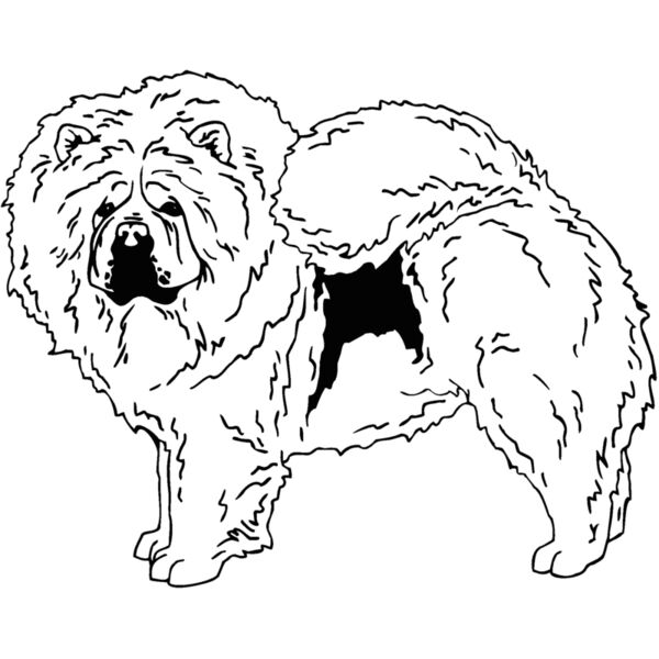 chow cho Thumbnail