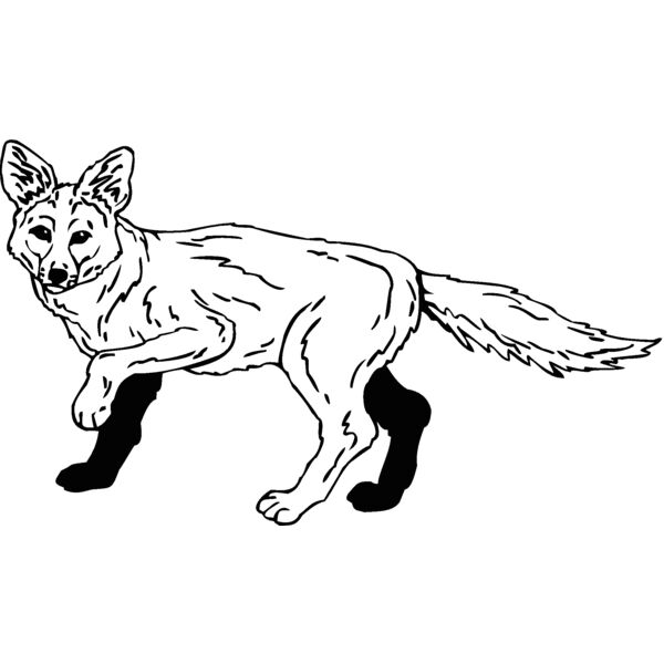 fox03 Thumbnail