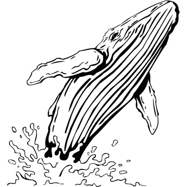 whale2 Thumbnail