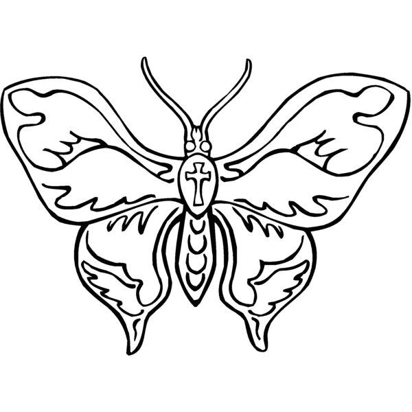 butterfl Thumbnail