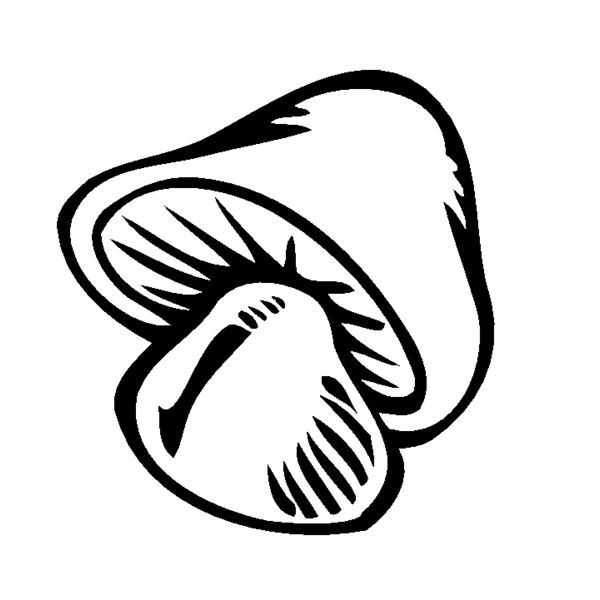 mushroom Thumbnail