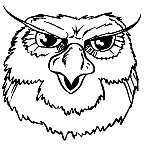 owahd2 Thumbnail