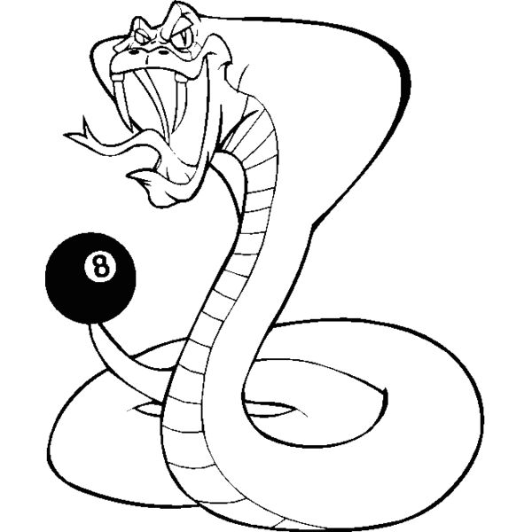 cobrapoolbns Thumbnail