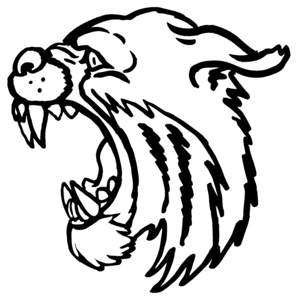 wchd16 Thumbnail