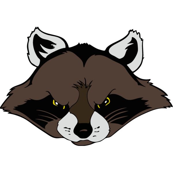 raccoonhead01 Thumbnail