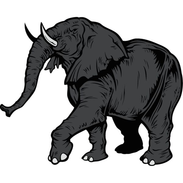 elephantj021 Thumbnail