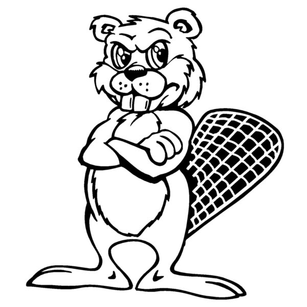 beaver5 Thumbnail