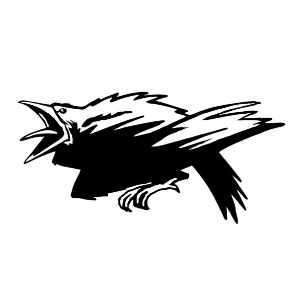 raven01 Thumbnail