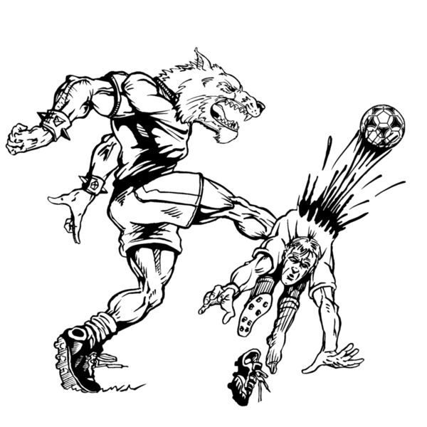 wfsr1 Thumbnail