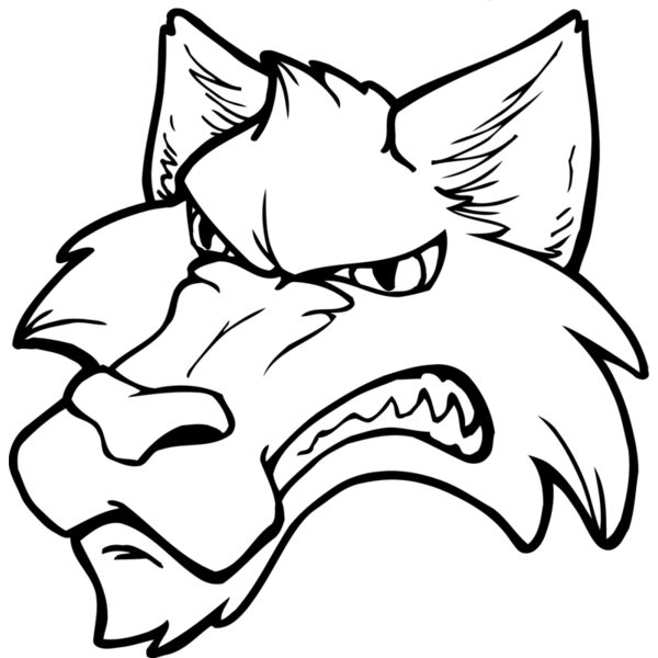wlfhd Thumbnail
