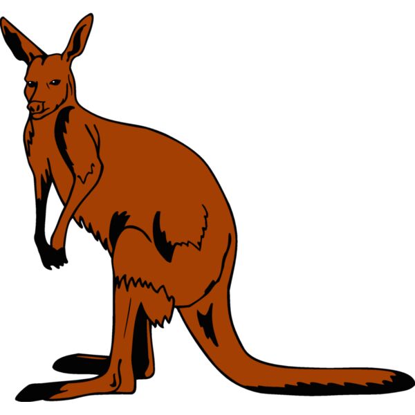kangaroo1 Thumbnail