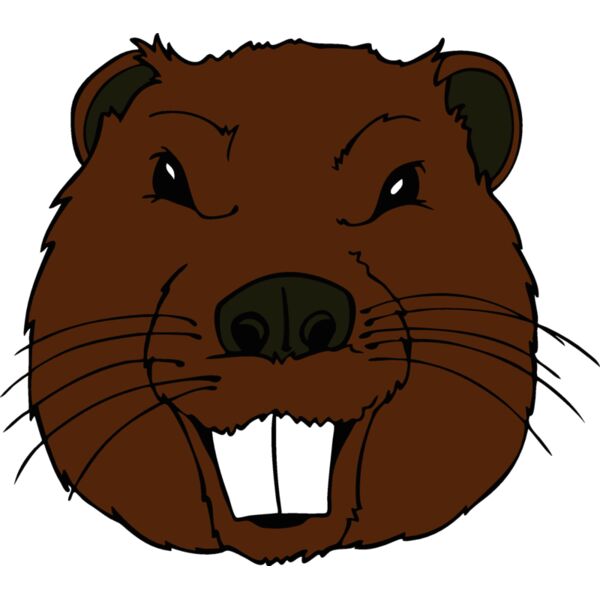 beaver31 Thumbnail
