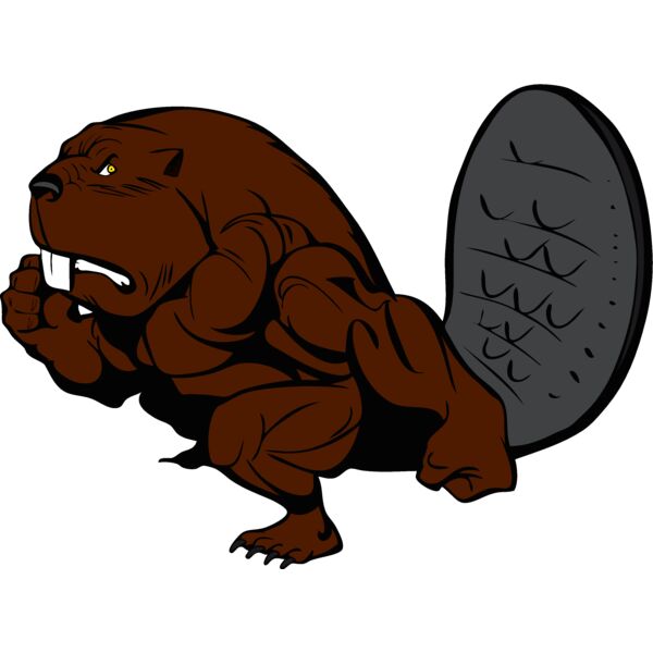 beaver9 Thumbnail