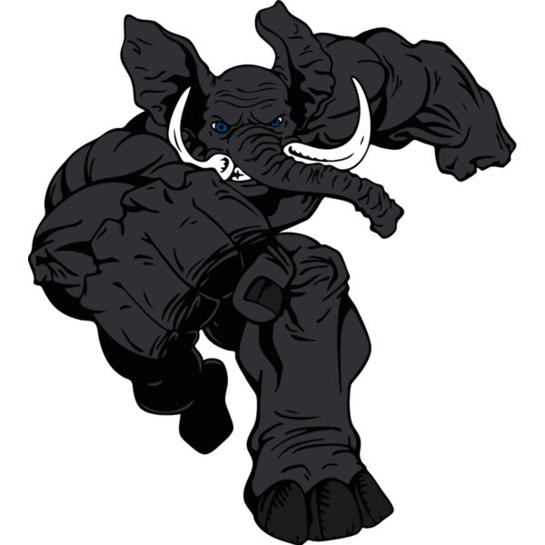 elephantmsct5 Thumbnail