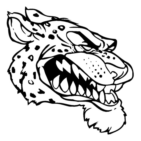 ceahd02 Thumbnail