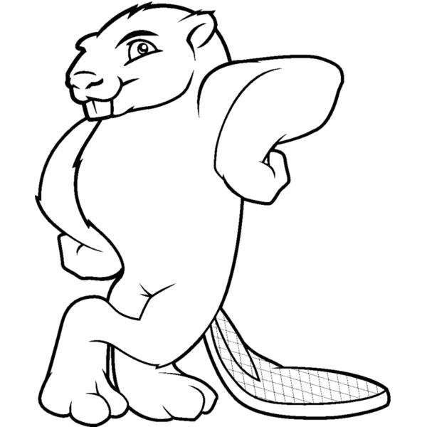 beaver17 Thumbnail