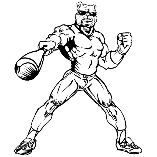 bdba06 Thumbnail
