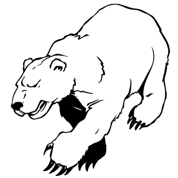 bear73 Thumbnail