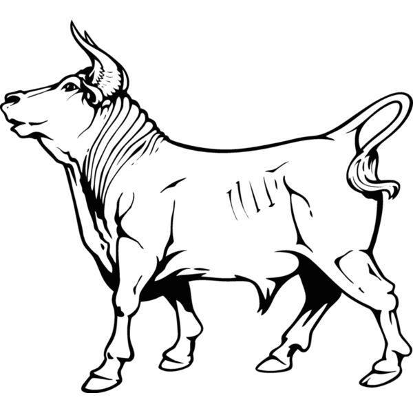 bull10v4bw Thumbnail