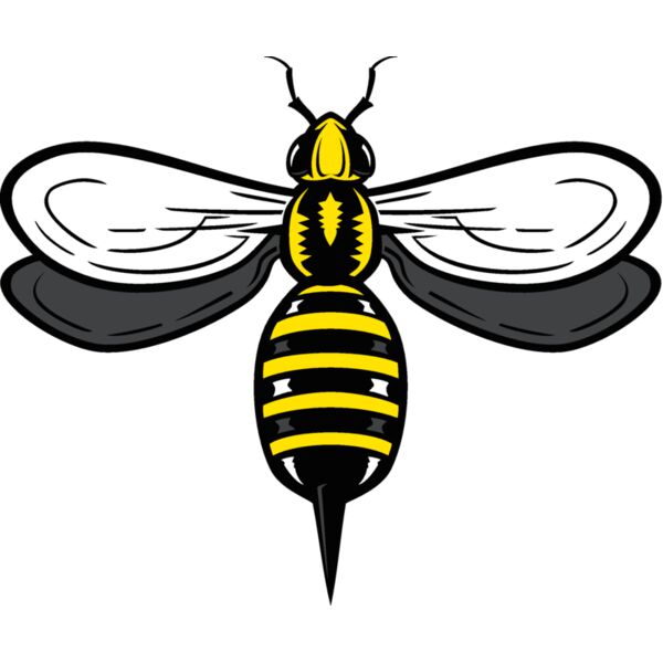 bee06v4clr Thumbnail