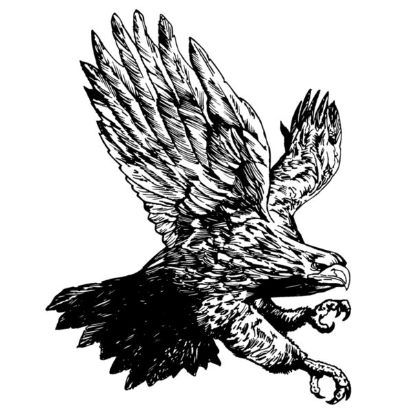eagle17 Thumbnail