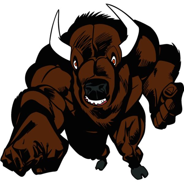 bufflo1 Thumbnail