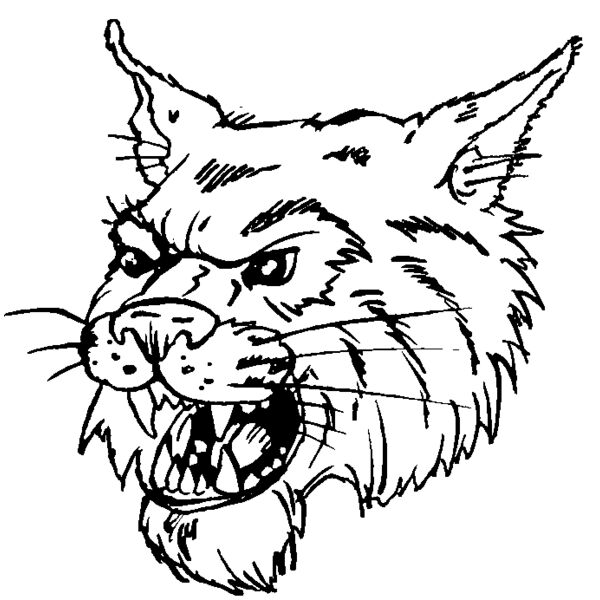 wildcathead04 Thumbnail