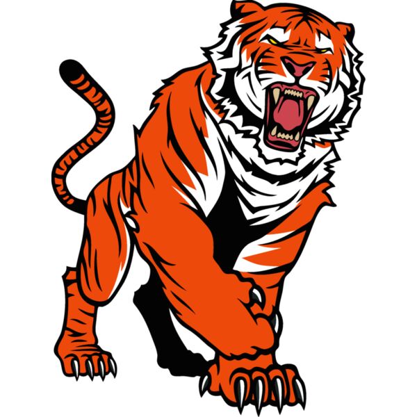tigerc50 Thumbnail