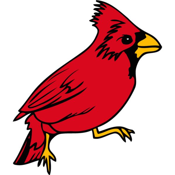 illinois cardinal 1 Thumbnail